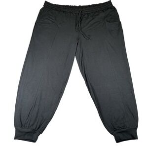 AnyBody Lounge Jogger Pants Womens Large Petite Charcoal Gray Modal Soft